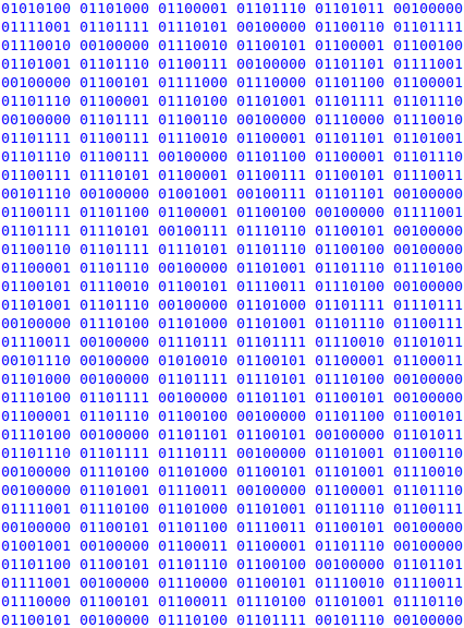 Binary Programing Languages Example