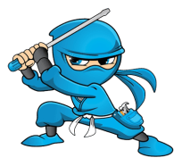 Blue Ninja With Sword