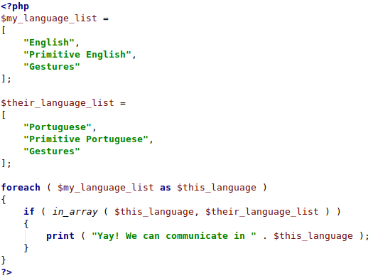 PHP Programing Languages Example